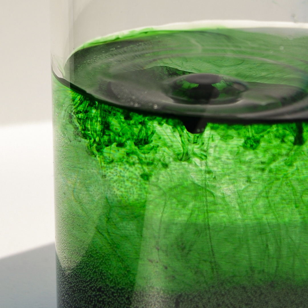 Ioonne klorofüll mündiga